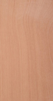 Anigre Flat Cut Plain Anigre Flat Cut Plain