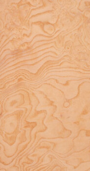 Ash White Burl
