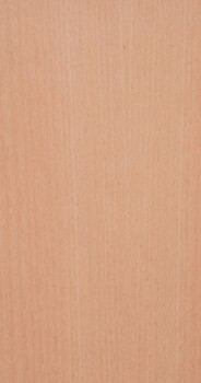 Beech Erpn Stmd Qtrd