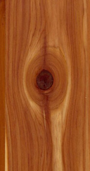 Cedar Aromatic