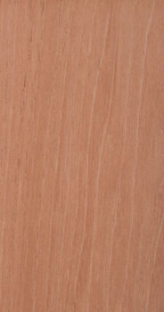 Cedar Spanish