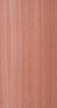 Lyptus Qtrd