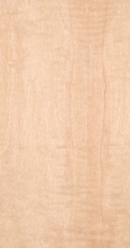 Maple Curly