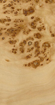 Mappa Burl