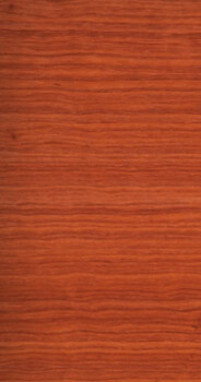 Padauk African
