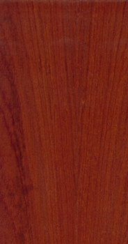 Sapele PS