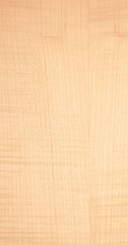 Sycamore Qtrd English