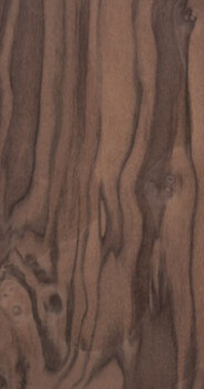 Walnut Burl