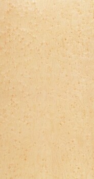 Birdseye Maple