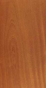 Sapele
