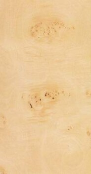 Sycamore Cluster